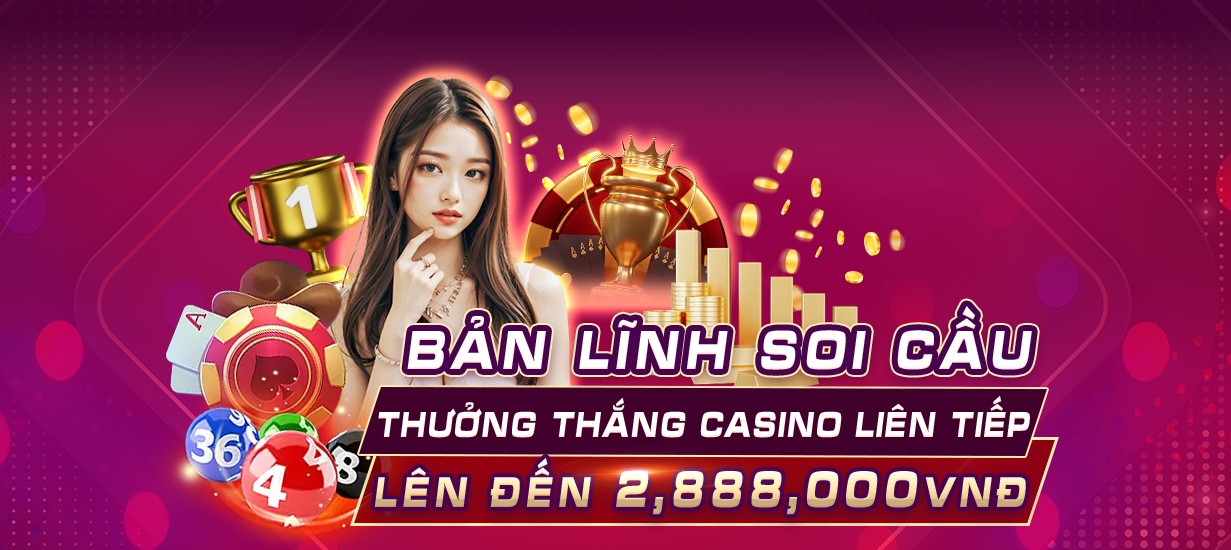 vn888ss