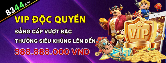 vn888ss